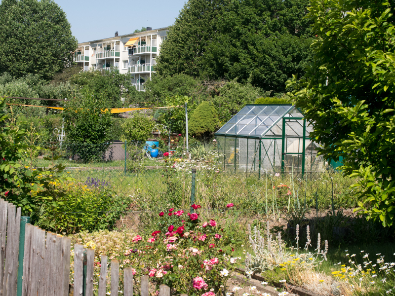 zum Garten 14 Expose 