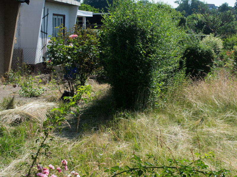 zum Garten 86 Expose 