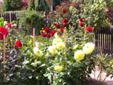 Garten Tipps von Richard Bauch e.V.